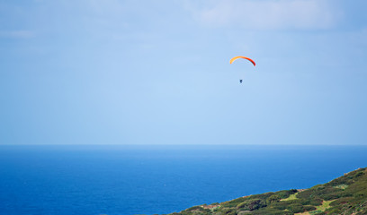 gliding over the shore