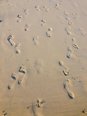 footprints on the beach