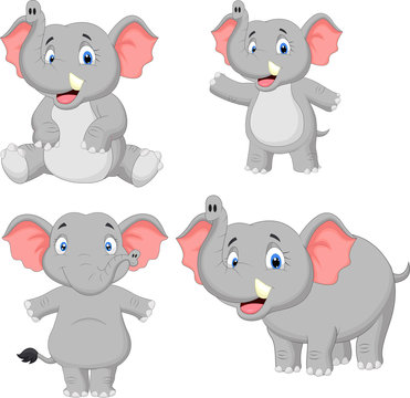 Elephant cartoon collection set