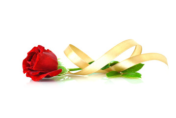 Red rose with gold ribbon isolated on white