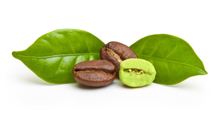 Green and black coffee beans on white background.