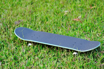 skateboard on grass