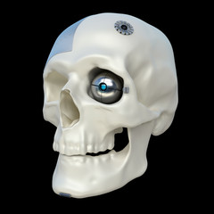 cyborg skull