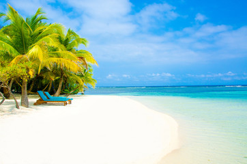 Tropical Paradise Island