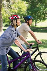 Plakat Couple riding bicycles in park