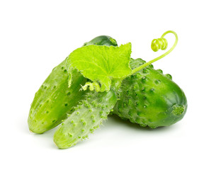 fresh cucumbers