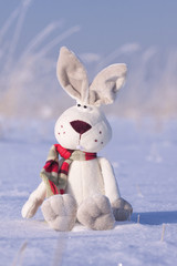 Winter background with rabbit and snow