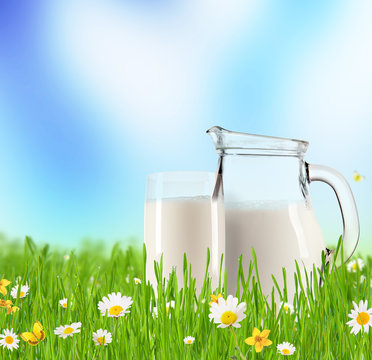 Milk jug with glass in grass