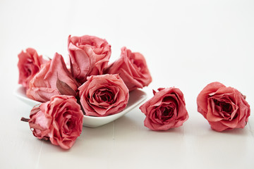 roses