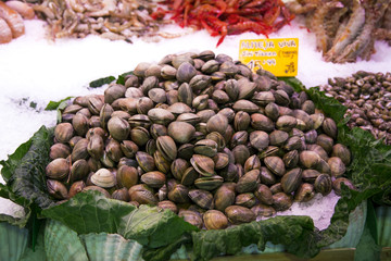 Viele Venusmuscheln an einem Marktstand