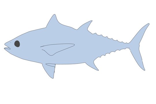 cartoon image of tuna fish