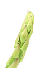 Close up of asparagus.