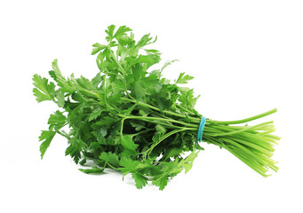 Bunch of parsley on a white background