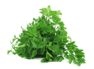 Bunch of parsley on a white background