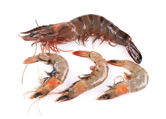 Some raw shrimps with different size.