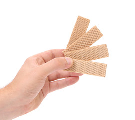 Hand holds of four wafers