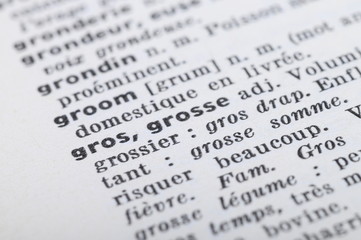 Fototapeta premium French Dictionary at the word Fat