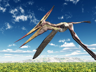 Flugsaurier Pteranodon © Michael Rosskothen