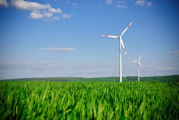 Wind energy turbines on the field