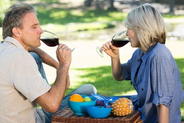 Couple drinking red wine in park