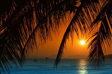 Naklejka na ściany i meble Zachód słońca z liści palmowych.