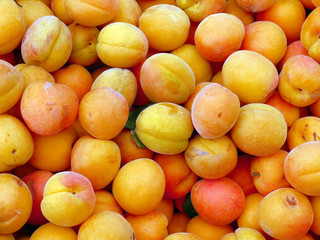 Apricots