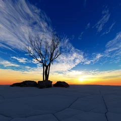 Foto auf Acrylglas sunset in desert © vladiislav