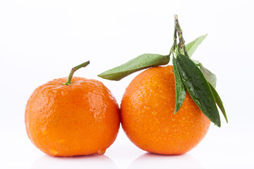 Tangerine on white background