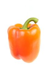 Orange sweet pepper with green stem