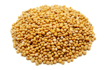 Mustard seeds
