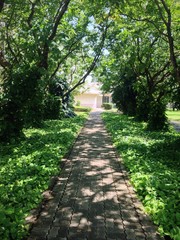green pathway 