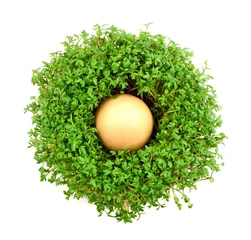 Papier Peint photo Lavable Herbes rzeżucha z jajkiem