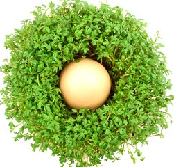 rzeżucha z jajkiem © robert6666