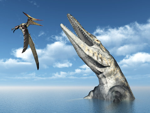 Pterosaur Pteranodon and Mosasaur Tylosaurus