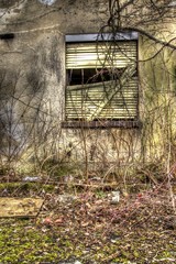 Das Fenster