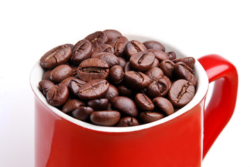 Isolated Coffee Bean