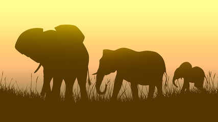 Fototapeta na wymiar Horizontal illustration of wild animals in sunset savanna.