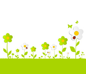 Blumen Wiese Marienkäfer