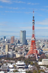 view of tokyo city and tokyo tower at nice daytime