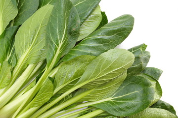 fresh ripe of chinese cabbage on white background