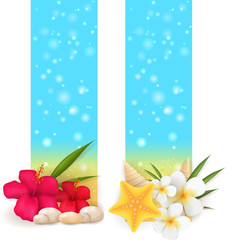 Two summer vertical banners