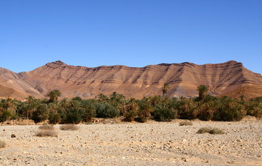 montagnes de l'anti-atlas