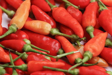 Chilli Close Up