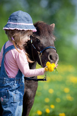 Child feeding a small horse in field