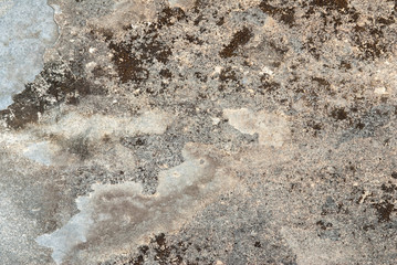 Earthy Background