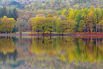 Obraz premium Autumn colurs reflected in a lake