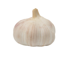 garlic on a white background