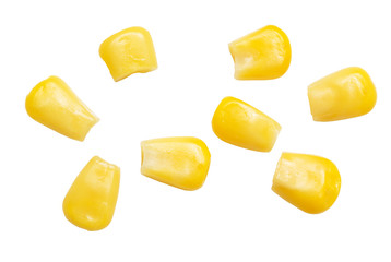 corn on a white background. macro