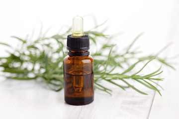 rosemary essential oil