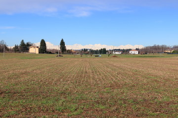 campo coltivato nella campagna comasca